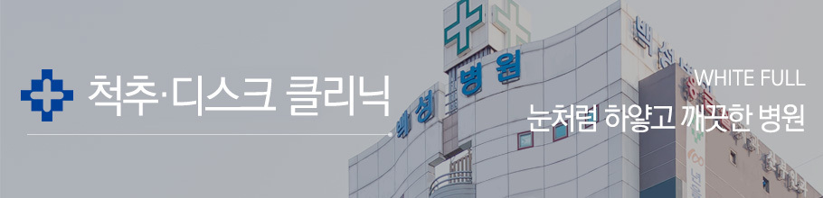 척추디스크클리닉