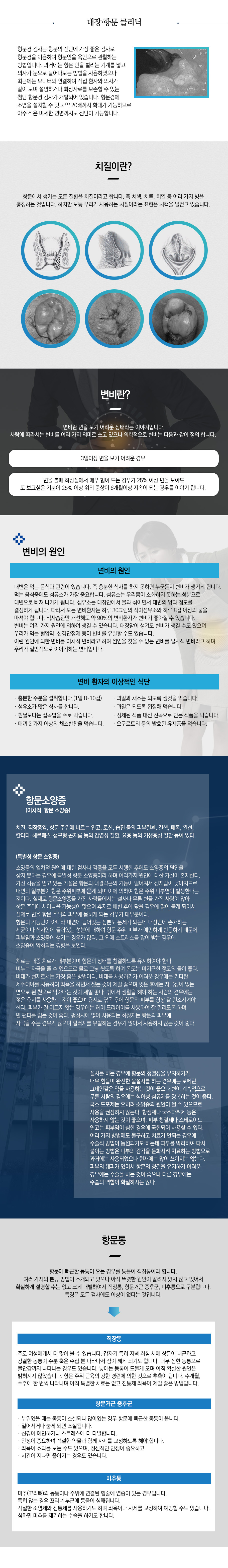 대장항문