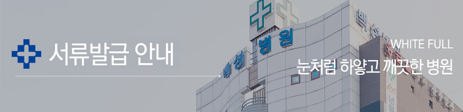 서류발급안내